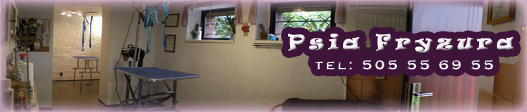 Psia Fryzura